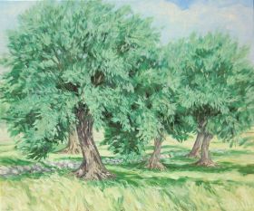 45. Olivenbäume 100x120.JPG